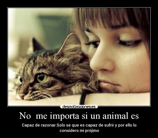 No me importa si un animal es -