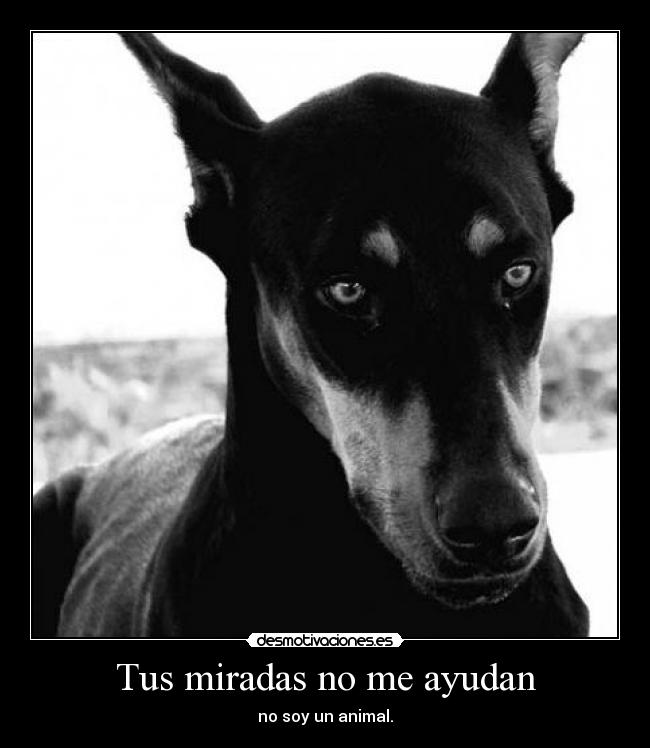 carteles ansio libertad desmotivaciones