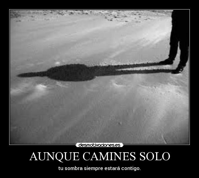 AUNQUE CAMINES SOLO - tu sombra siempre estará contigo.