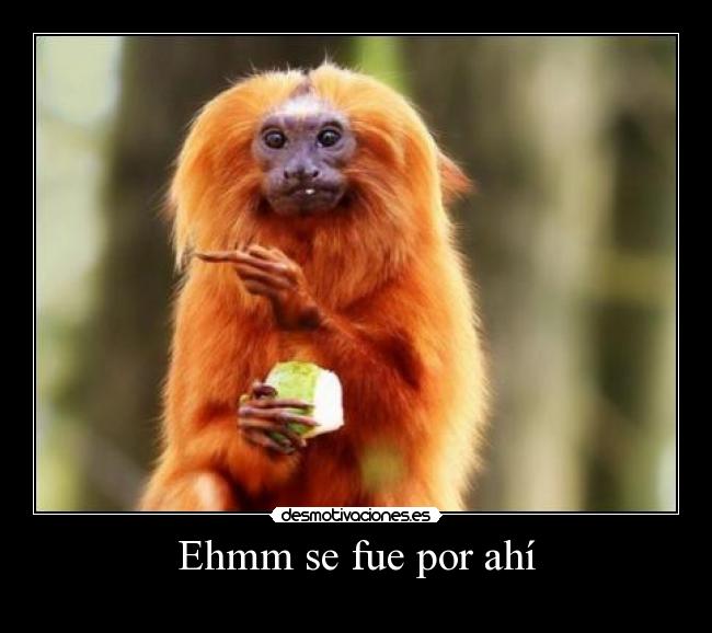 Ehmm se fue por ahí -