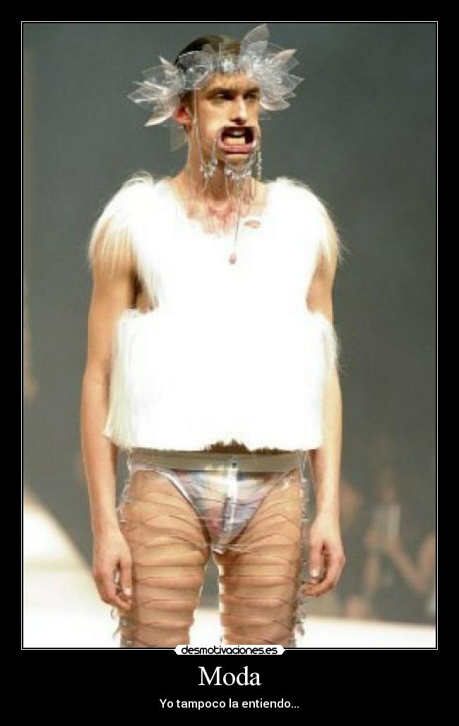 carteles moda wtf desmotivaciones