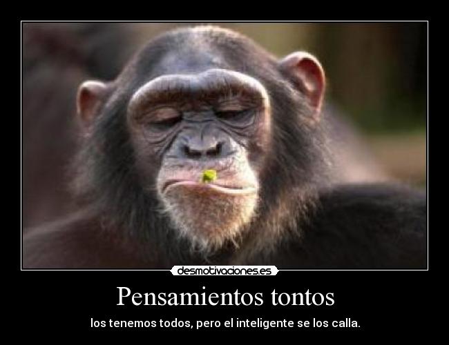 Pensamientos tontos - los tenemos todos, pero el inteligente se los calla.