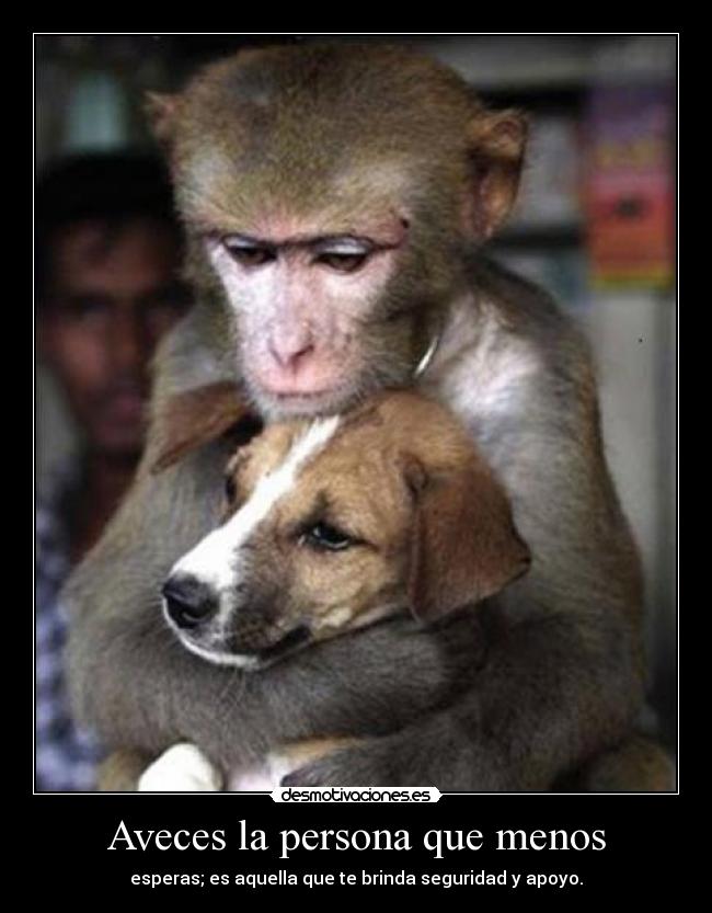 Aveces la persona que menos - esperas; es aquella que te brinda seguridad y apoyo.