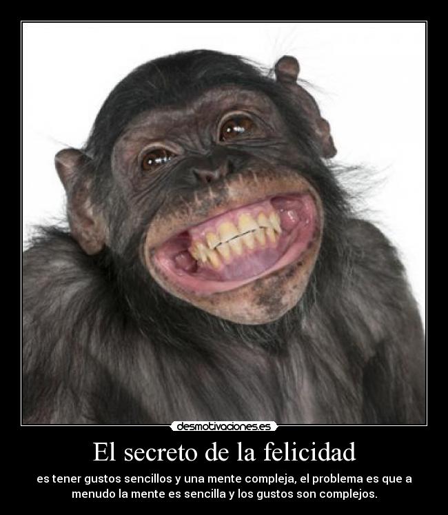 El secreto de la felicidad - es tener gustos sencillos y una mente compleja, el problema es que a
menudo la mente es sencilla y los gustos son complejos.