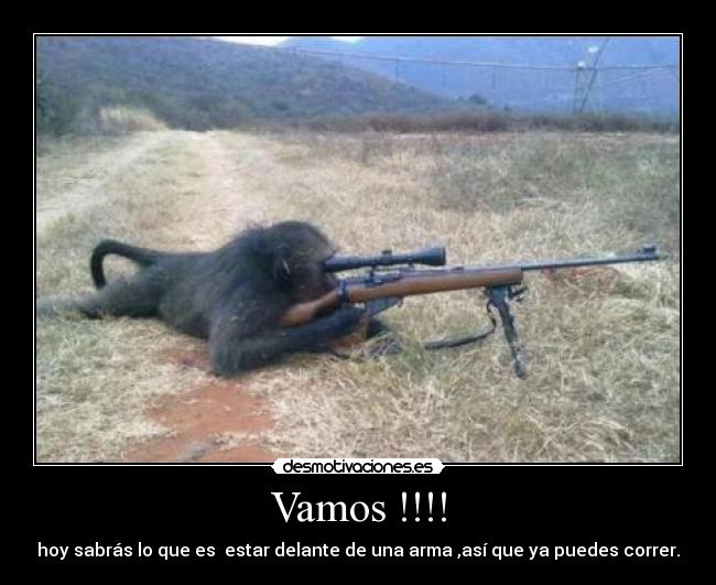 Vamos !!!! - hoy sabrás lo que es estar delante de una arma ,así que ya puedes correr.