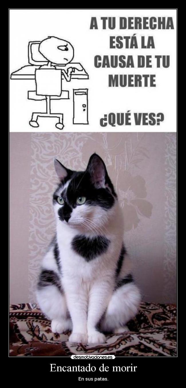 Encantado de morir -