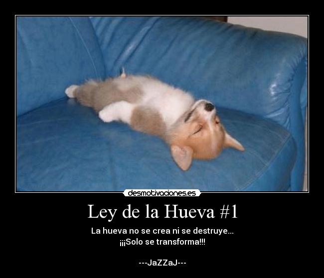 carteles ley hueva desmotivaciones