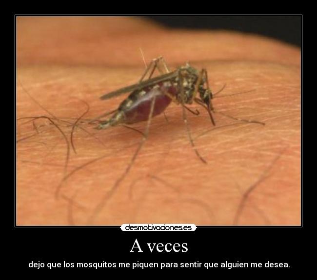 carteles angeloo34 desmotivaciones