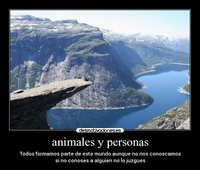 animales y personas - 