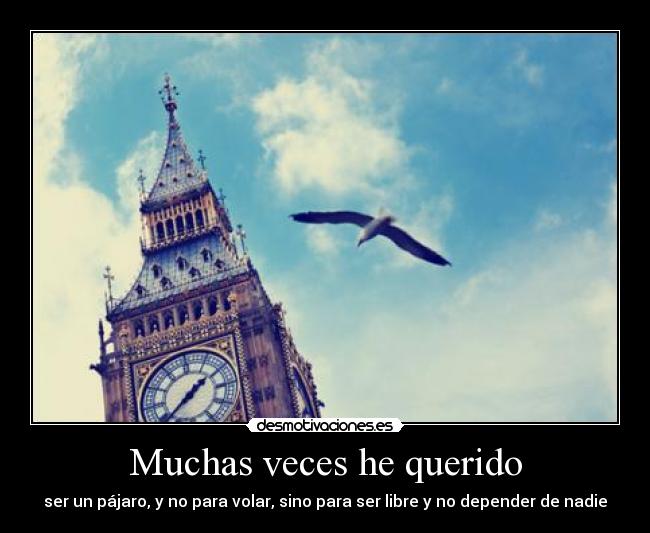 Muchas veces he querido - ser un pájaro, y no para volar, sino para ser libre y no depender de nadie