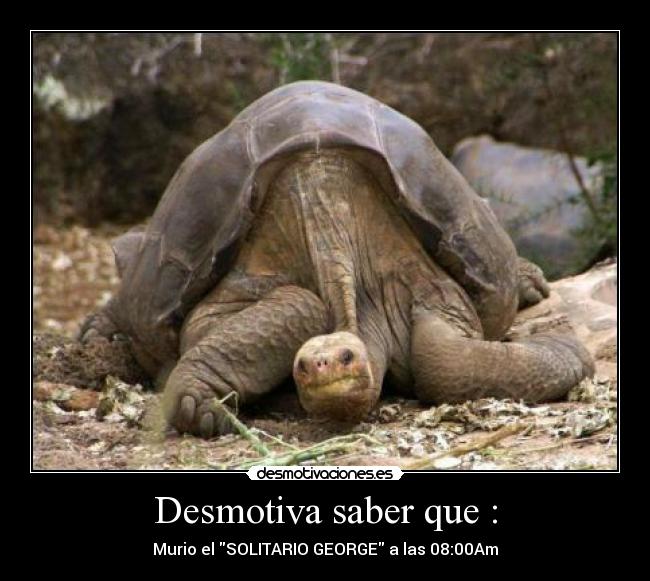 Desmotiva saber que : - Murio el SOLITARIO GEORGE a las 08:00Am