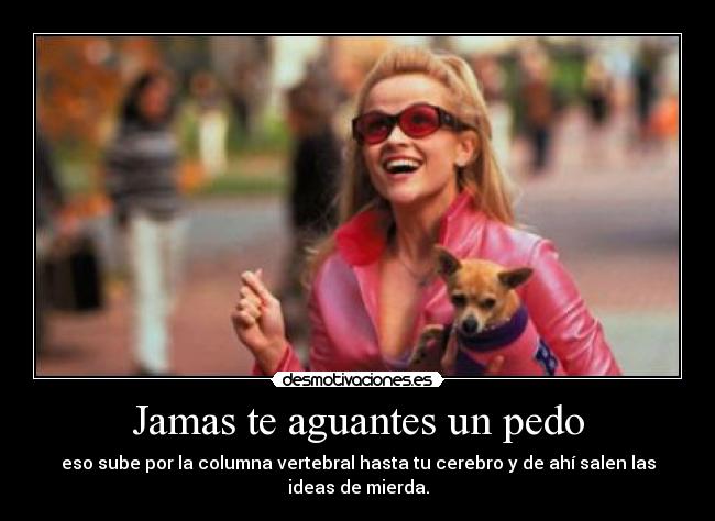 Jamas te aguantes un pedo - eso sube por la columna vertebral hasta tu cerebro y de ahí salen las ideas de mierda.