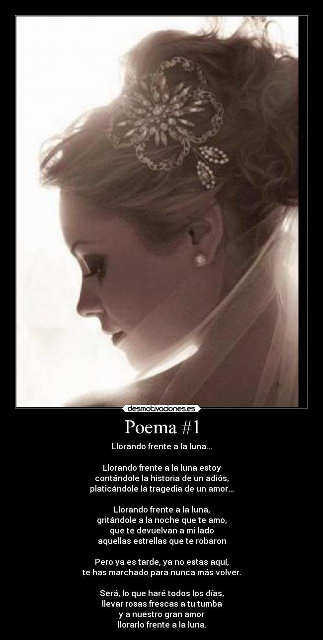 Poema #1 - Llorando frente a la luna...
Llorando frente a la luna estoy
contándole la historia de un adiós,
platicándole la tragedia de un amor...
Llorando frente a la luna,
gritándole a la noche que te amo,
que te devuelvan a mi lado
aquellas estrellas que te robaron
Pero ya es tarde, ya no estas aquí,
te has marchado para nunca más volver.
Será, lo que haré todos los días,
llevar rosas frescas a tu tumba
y a nuestro gran amor
llorarlo frente a la luna.