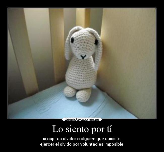 Lo siento por tí -