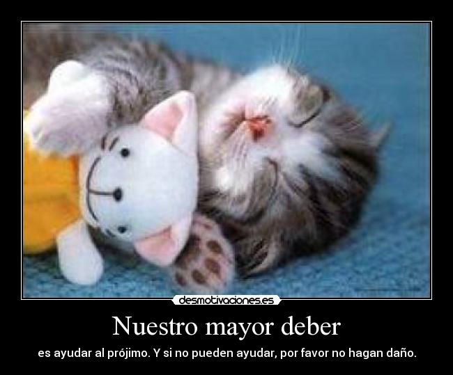Nuestro mayor deber - es ayudar al prójimo. Y si no pueden ayudar, por favor no hagan daño.