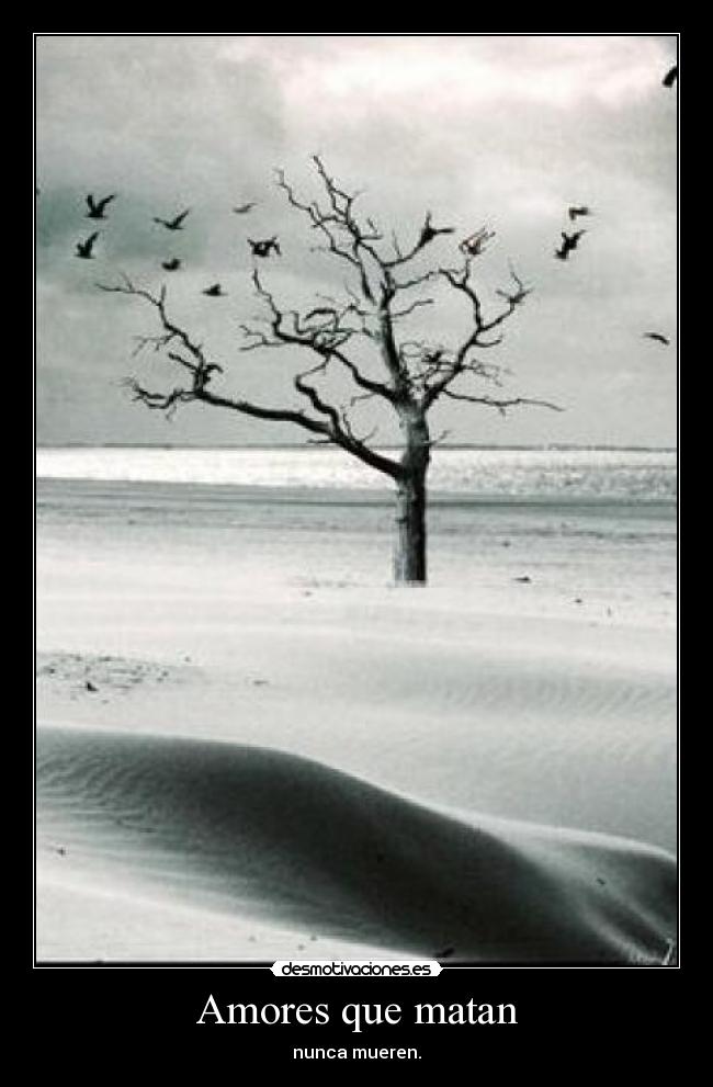 Amores que matan - 