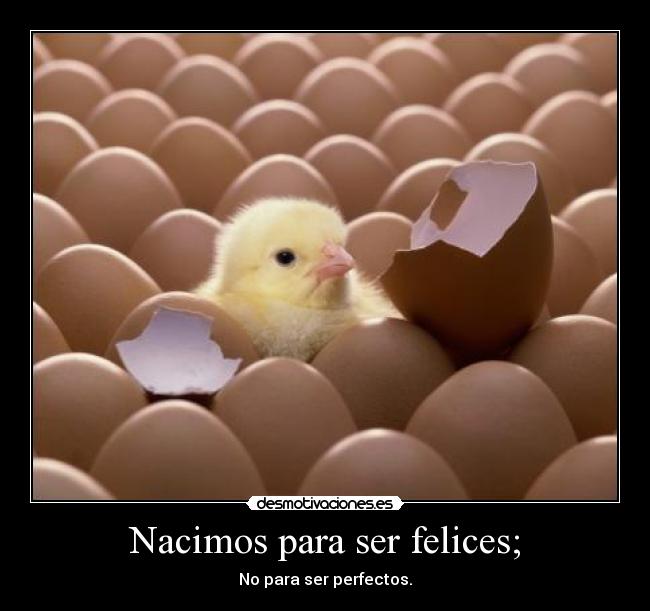 Nacimos para ser felices; - No para ser perfectos.
