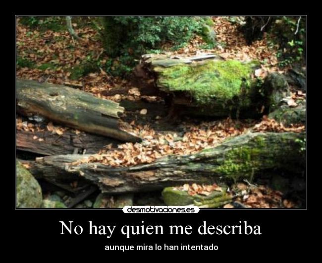 No hay quien me describa - aunque mira lo han intentado