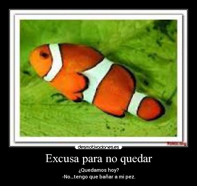 Excusa para no quedar - ¿Quedamos hoy?
-No…tengo que bañar a mi pez.