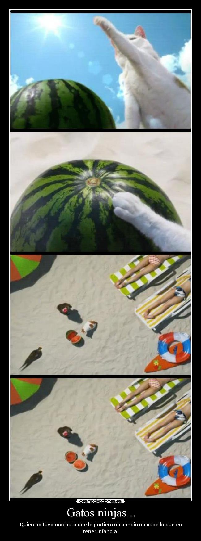 Gatos ninjas... - Quien no tuvo uno para que le partiera un sandia no sabe lo que es tener infancia.