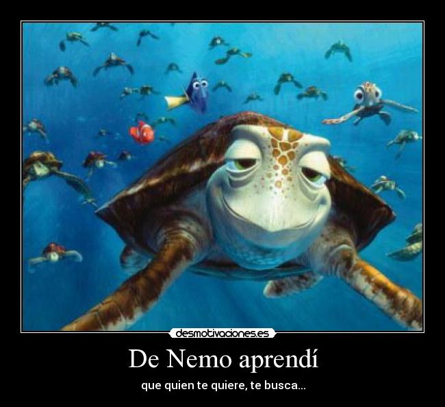 De Nemo aprendí - que quien te quiere, te busca...