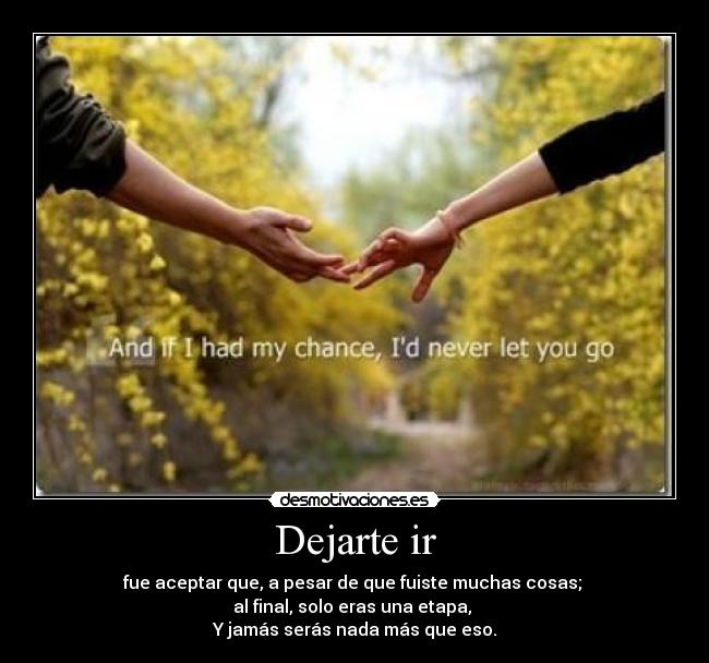 Dejarte ir -