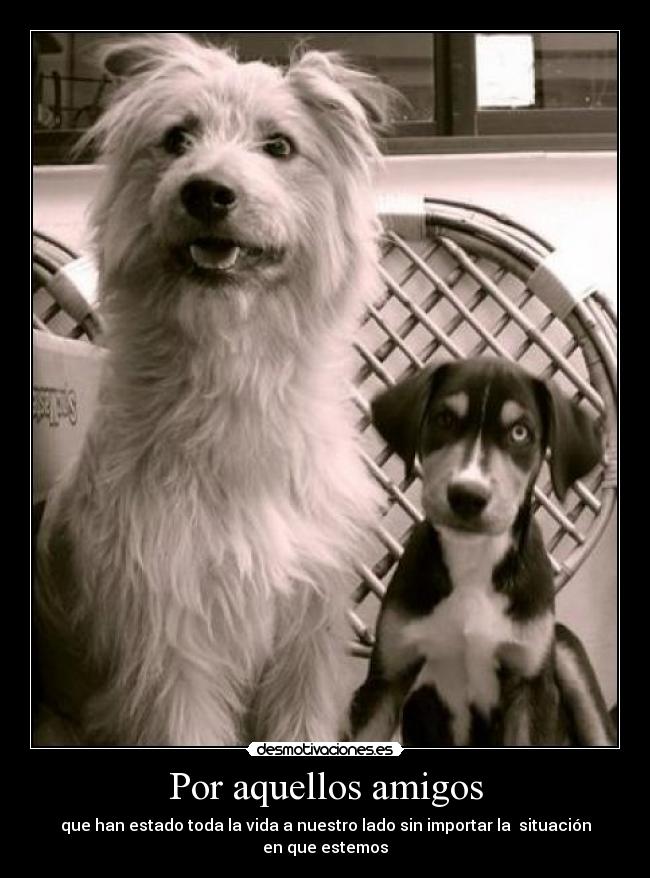 Por aquellos amigos -