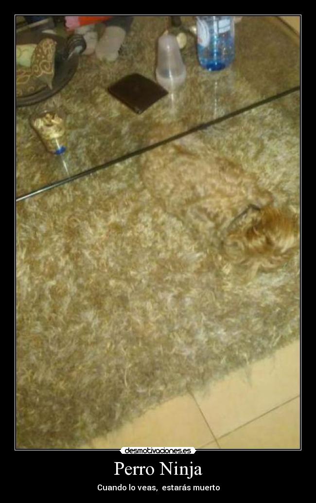 carteles doctor raptorhunters escribir etiquetas arte olvidado desmotivaciones