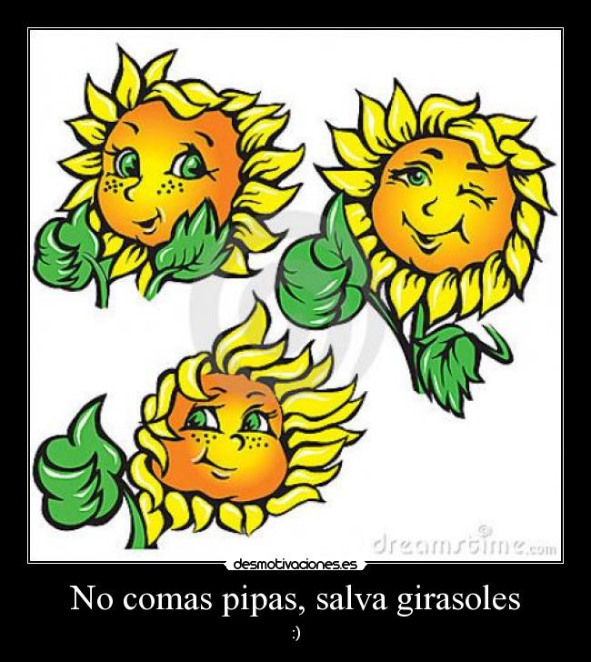 No comas pipas, salva girasoles - :)