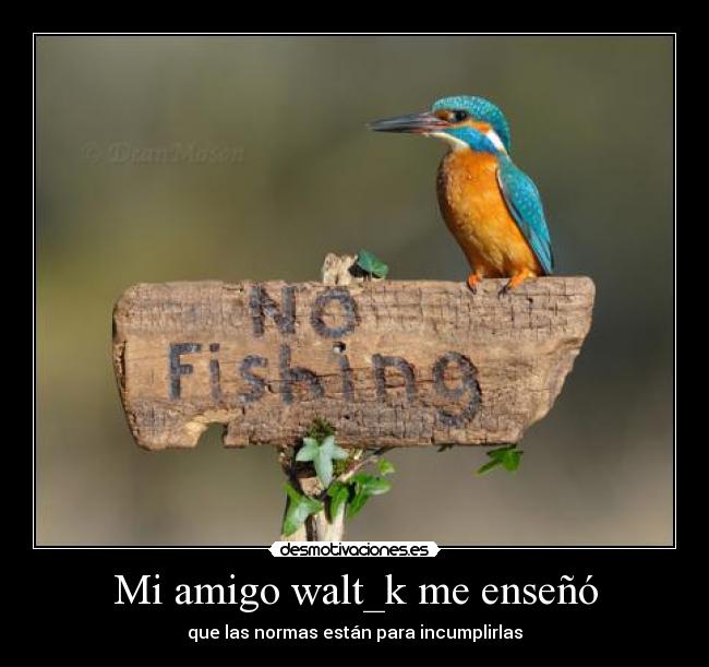 Mi amigo walt_k me enseñó - que las normas están para incumplirlas