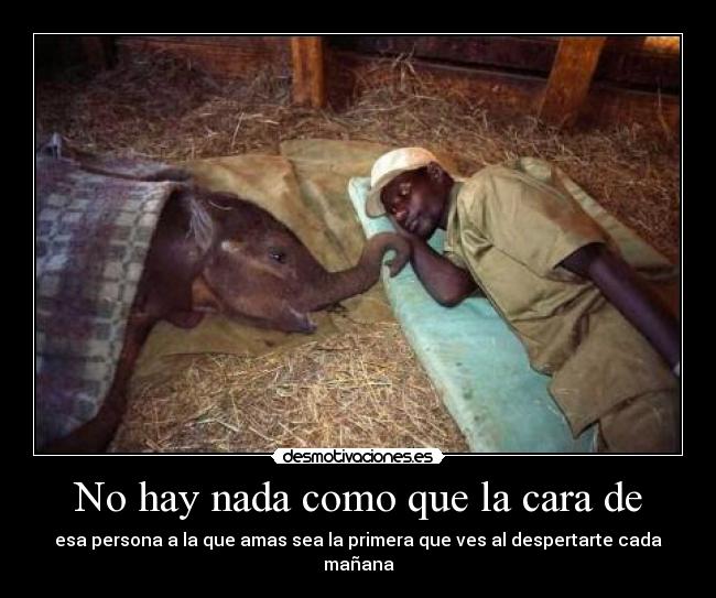 No hay nada como que la cara de - 