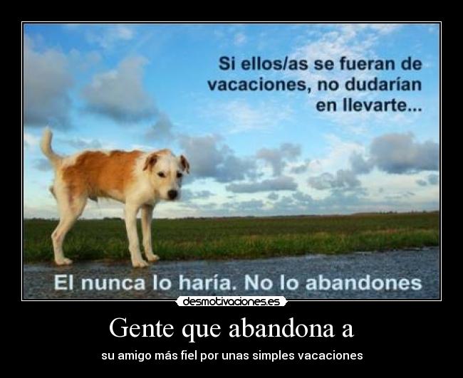 carteles abandono animal resubido desmotivaciones