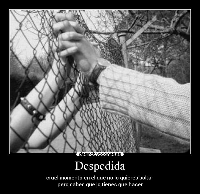 Despedida - cruel momento en el que no lo quieres soltar 
pero sabes que lo tienes que hacer