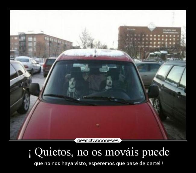 carteles laura rules escuchar querer dormir perfe paula frank lampard desmotivaciones