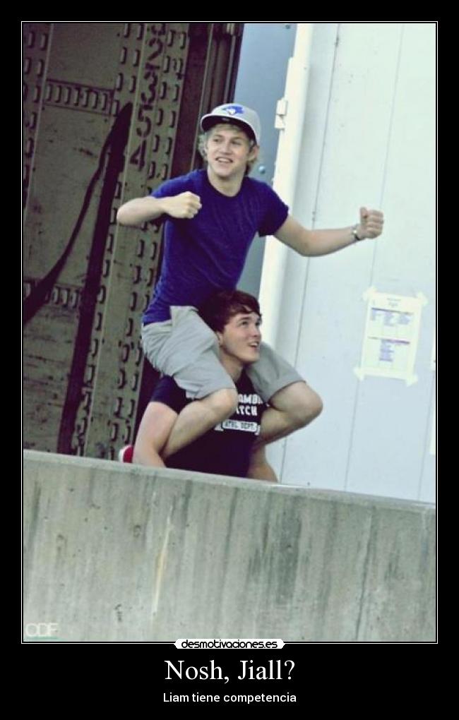 carteles bromances desmotivaciones