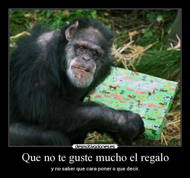 Que no te guste mucho el regalo -
