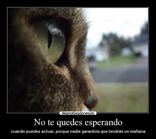 No te quedes esperando - cuando puedes actuar, porque nadie garantiza que tendrás un mañana