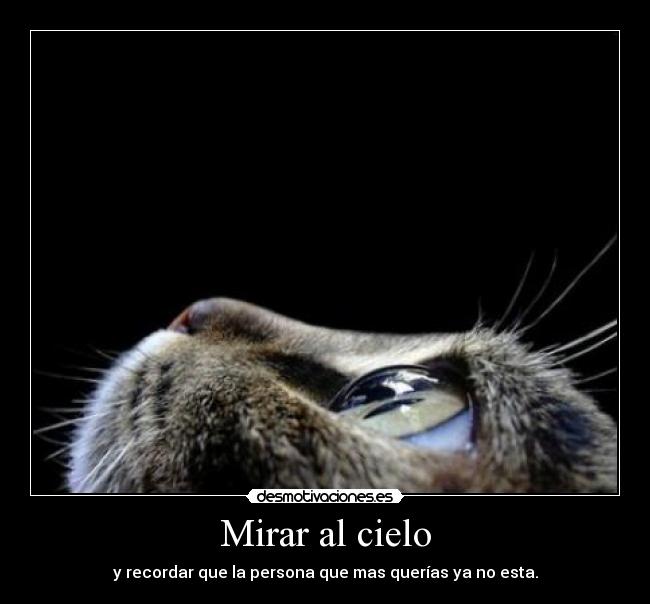 Mirar al cielo - y recordar que la persona que mas querías ya no esta.