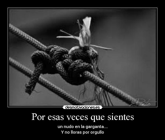 Por esas veces que sientes - un nudo en la garganta....
Y no lloras por orgullo