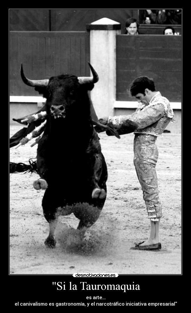 Si la Tauromaquia - 
