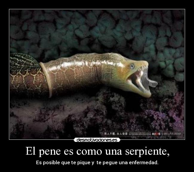 carteles pene como una serpiente posible que pique pegue una enfermedad desmotivaciones