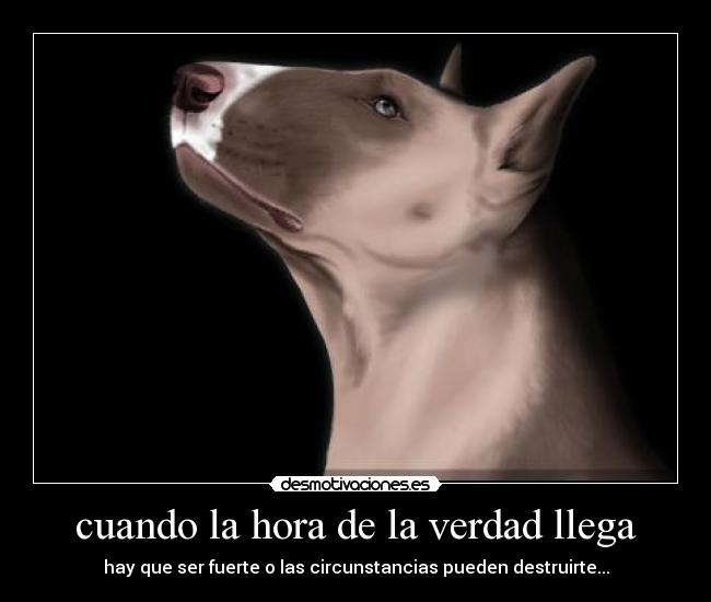 carteles cruda realidad desmotivaciones