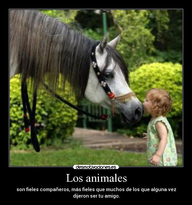 Los animales -