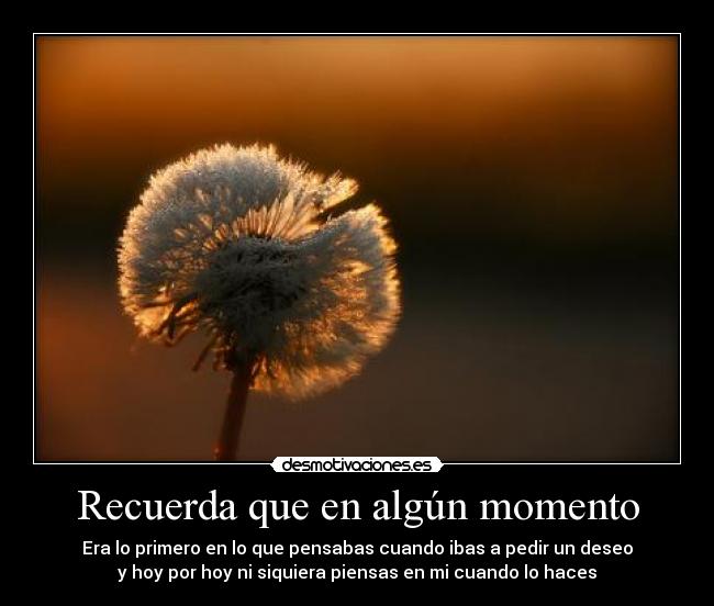 carteles amor desmotivaciones