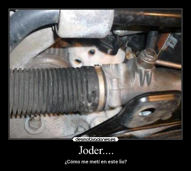Joder.... - ¿Cómo me metí en este lio?