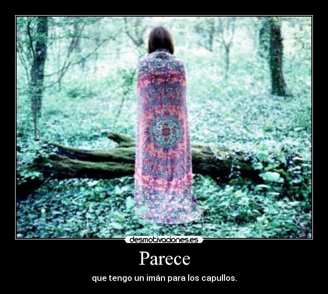 Parece - que tengo un imán para los capullos.