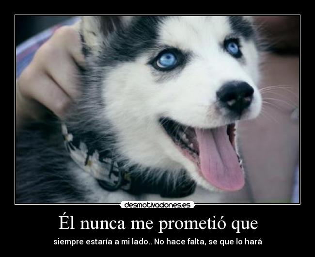 Él nunca me prometió que -