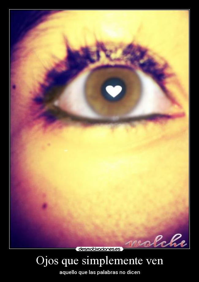 carteles kiero sinceramente desmotivaciones