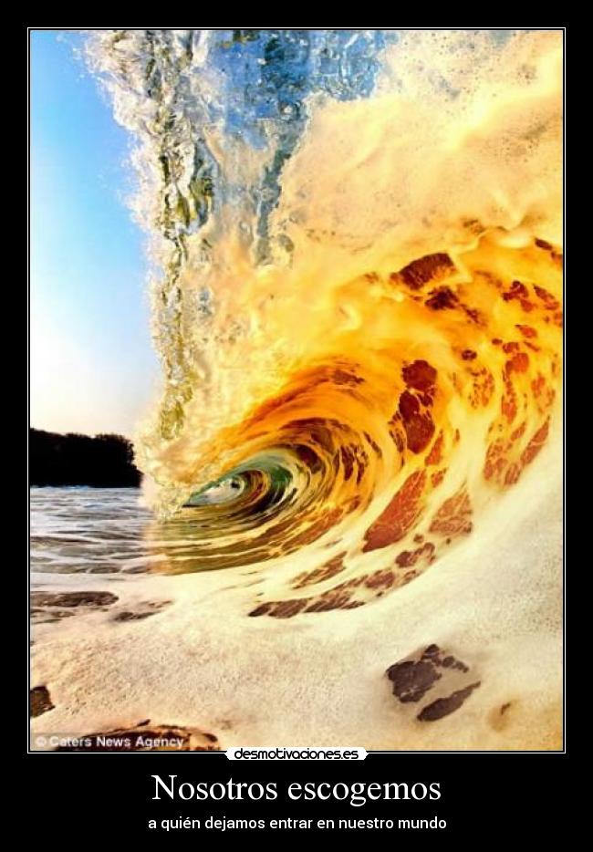 Nosotros escogemos -