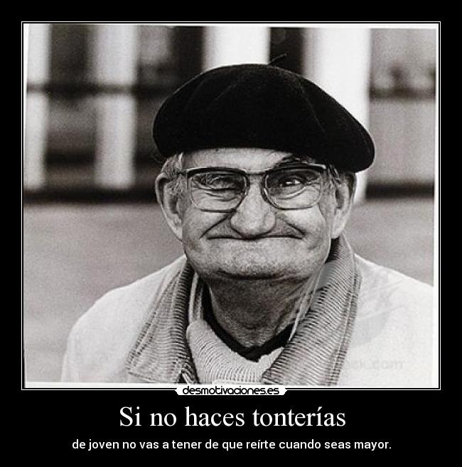 carteles miau desmotivaciones